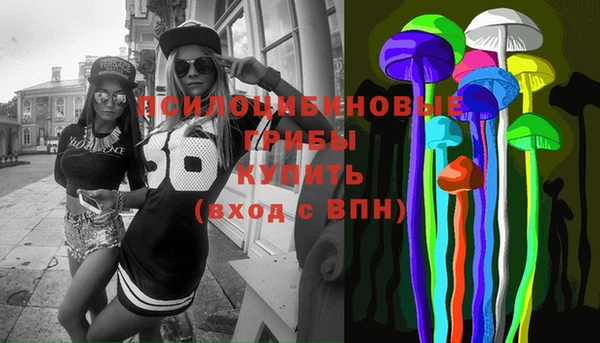 альфа пвп Армянск
