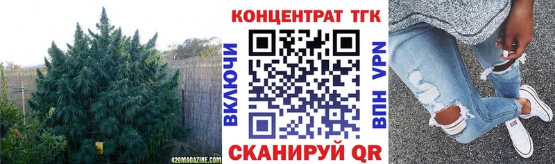 что такое   mega вход  ТГК вейп с тгк  Новая Ладога 